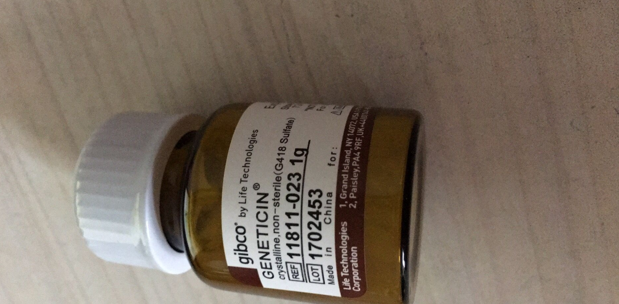 G418硫酸盐 Gibco试剂11811-023